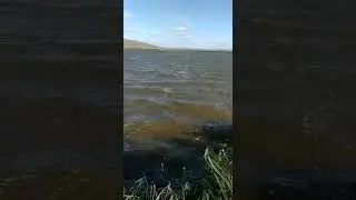 Шок !! китайский  Т188 как подводная лодка по метровым волнам !