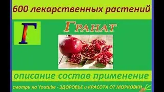 pomegranate 600 medicinal plants