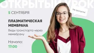 Плазматическая мембрана. Виды транспорта через мембрану