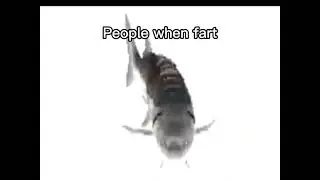 People when fart