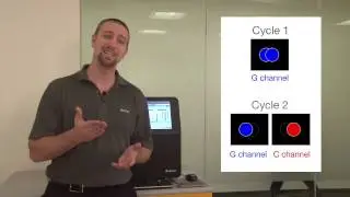 How do I optimize amplicon sequencing data? Part 1 | Illumina