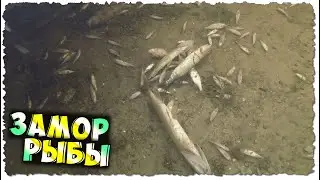 Fish COLD / FEBRUARY / HORRIBLE footage / TRYING TO HELP SURVIVE!!!