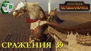 TOTAL WAR: Warhammer - Сражение(39) - Беаквис - машина смерти