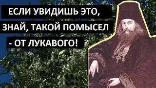 О МИРЕ ДУШЕВНОМ. Святитель Игнатий Брянчанинов