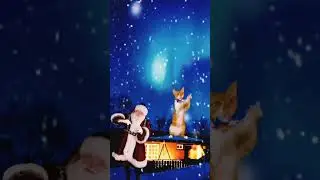 happy happy happy cat 