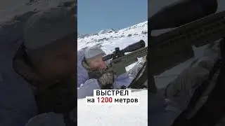 Sniper Hits Bullseye at Unbelievable Distance (1200 meters) - Here's How!