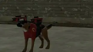 skibidi pug 6