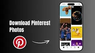 How to Download Pinterest Photos to Your Gallery (iPhone & Android)