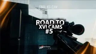 Dynamic XVI: Road to XVI CAMS #5