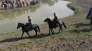 лава терских казаков