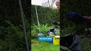 How to repair a patchy lawn