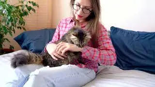 Funny cat: "Let me go" #Animals #Cute #Dogs #Cats