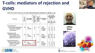 BMT 101: The basics of allogeneic hematopoietic cell transplantation