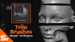 Trim Brushes: ZBrush All Brushes