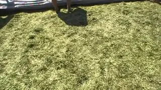 Силос. Укрытие силосной ямы.