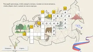 Кроссворд