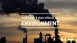 Pollutants & their effects on Environment | Oxford Secondary Science | eLearn K12