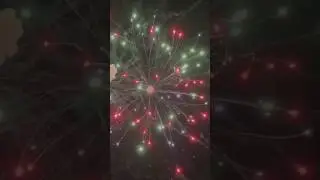 Coco 🥥 #firework #mustwatch #pyro #crazy #loud #foryou #fireworks #fyp #explore