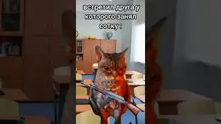 #рекомендации #мем #cat #юмор #youtube а вы поподали в похожие ситуации? 🤣