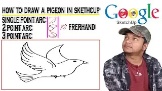How to Draw a Pigeon in SketchUp | Freehand Tool | Single Point Arc | 2 Point Arc | 3 Point Arc | 3D