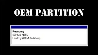 What is OEM Partition in Windows 10