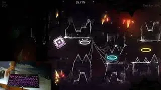 cobwebs 50%