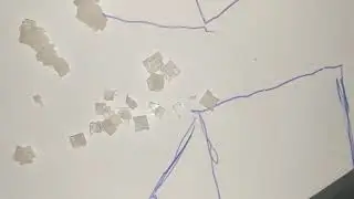 hollow salt crystals from evaporation