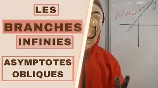 BRANCHES INFINIES, ASYMPTOTES OBLIQUES : COURS COMPLET AVEC EXEMPLES