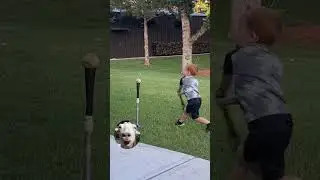 Random Memes I found on the internet #70