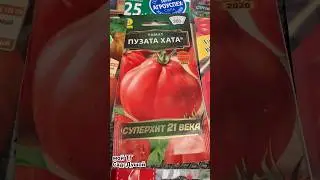 ОБЗОР СЕМЯН ТОМАТОВ. ПОСЕВ 
