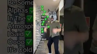 I’m An Alpha 🐺