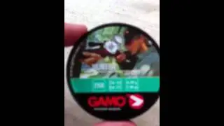 Gamo varmint hunter review