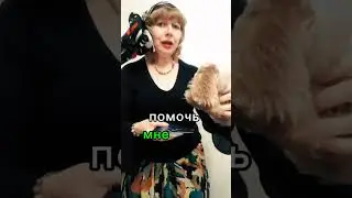 Цыганка Аза знакомится с собачкой Джулей.