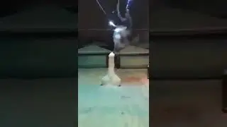 Фейерверк (18+)