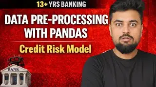 09.What is Data Pre-Processing with Pandas 🐼 in Python! before Building Credit Risk Model | part 1