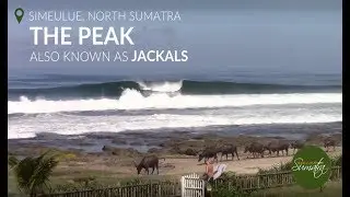 The Peak (aka Jackals), Simeulue, North West Sumatra