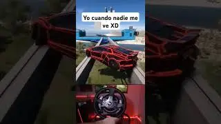 Yo cuando nadie me está viendo jugar forza xdxd
