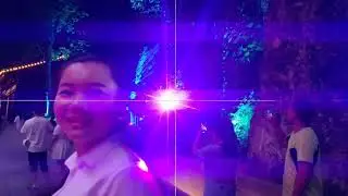 Laser Light beam damages CellPhone camera