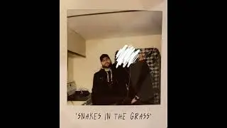 Matt Yonge - Snakes In The Grass (Official Audio)