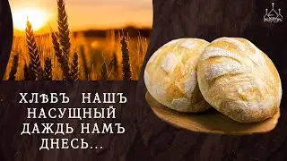Про бережное отношение к хлебу + социальный эксперимент подадут ли хлеба и воды?