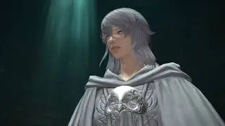 FFXIV P2S Clear PLD PoV [Would Be Heroes]