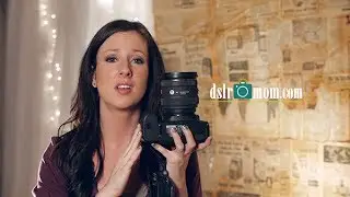Top 3 DSLR Lenses to Check Out - DSLR Mom