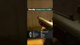 The Best Perk in Warzone gives YOU WALLS!