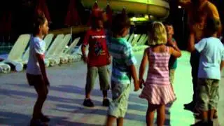 Minidisco Türkei Magnolia 3