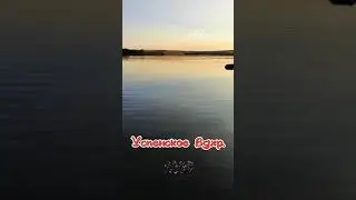 Пресноводная медуза. Успенское вдхр. ЛНР