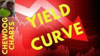 What The Yield Curve Tells Us!!