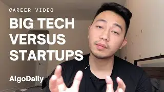 Big Tech vs. Startups for Software Engineers