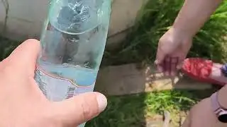 Июнь в лугах