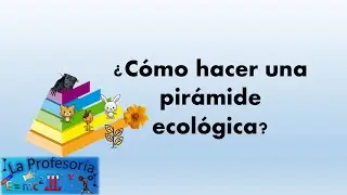 ¿Cómo hacer una pirámide ecológica?