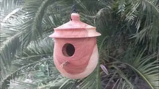 112. This ones for the Birds